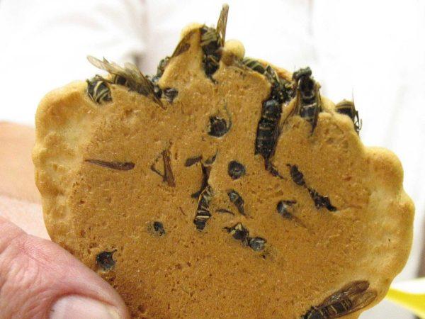 Jibachi Senbei comidas raras japonesas