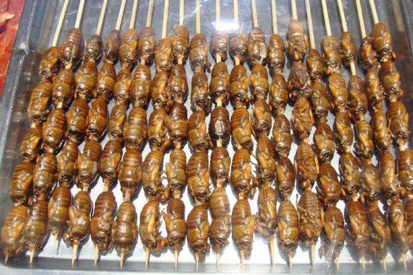 Higurashi cigarras platos japoneses mas raros 