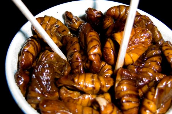 Uno de los platos más extraños de Japón, el zazamushi